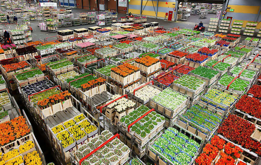 Где Можно Купить Овощи В Москве