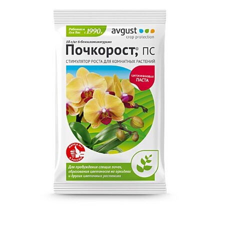 Почкорост