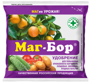 Маг Бор 200г