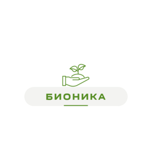 ООО ТД Бионика