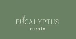 Eucalyptus.Russia