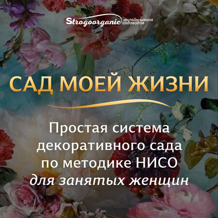 Сад моей жизни. Простая система декоративного сада по методике НИСО для занятых женщин, онлайн-курс